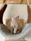 Marty (1)