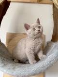 Marty (3)