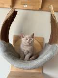 Marty (2)